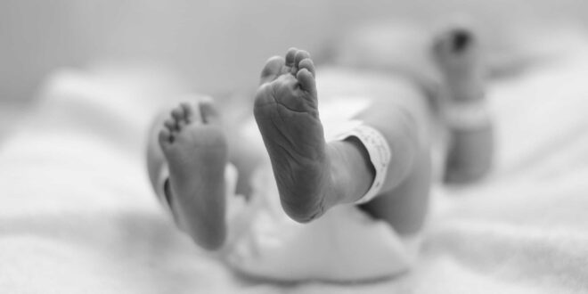 Criança que nascer em 2025 deve viver mais, ter menos irmãos e encontrar mais idosos