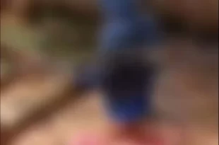 Mulheres são agredidas após briga, em possível ação de facção