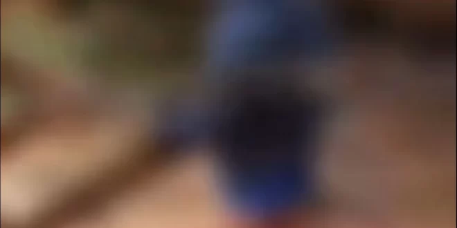 Mulheres são agredidas após briga, em possível ação de facção