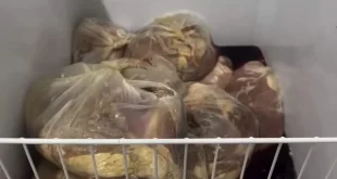 Empresa vendeu 800 toneladas de carne podre submersa na enchente do RS