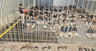 Palestinos relatam torturas, fome e sarna nas prisões israelenses