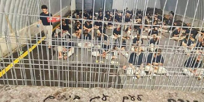 Palestinos relatam torturas, fome e sarna nas prisões israelenses