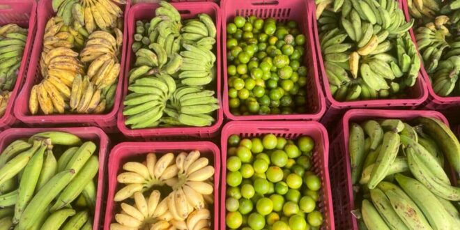 400 famílias acreanas de 15 municípios são incluídas no Programa Federal de Fomento às Atividades Produtivas Rurais