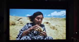 Encerra nesta quinta, 27: Festival Transamazônico exalta cultura e direitos humanos