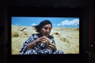 Encerra nesta quinta, 27: Festival Transamazônico exalta cultura e direitos humanos