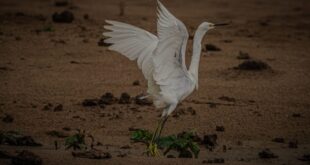 Governo do Acre lança campanha fotográfica nas redes sociais para fomentar ecoturismo