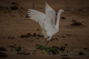 Governo do Acre lança campanha fotográfica nas redes sociais para fomentar ecoturismo