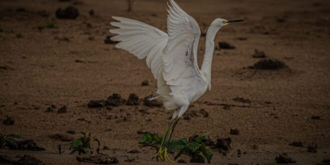 Governo do Acre lança campanha fotográfica nas redes sociais para fomentar ecoturismo