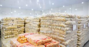 Educação utiliza software para otimizar gestão da alimentação escolar