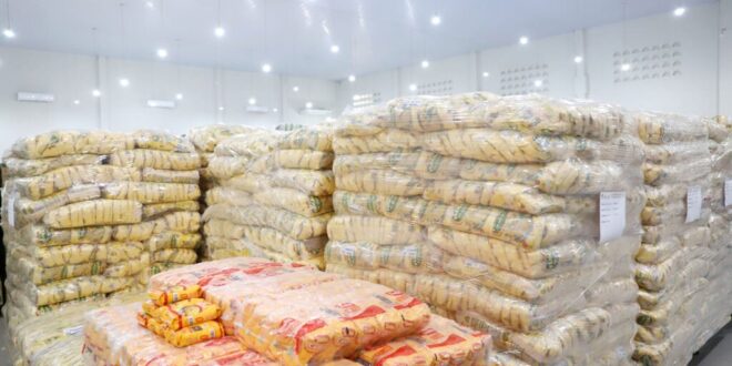 Educação utiliza software para otimizar gestão da alimentação escolar