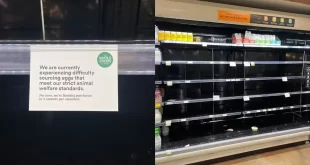 Ovada no Trump: preço do ovo dispara e produto desaparece dos supermercados nos EUA