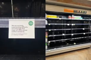 Ovada no Trump: preço do ovo dispara e produto desaparece dos supermercados nos EUA