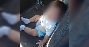 Matam a mãe e deixam bebê de 9 meses engatinhando sozinha em rodovia