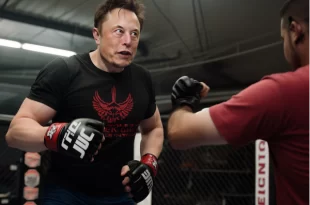 Musk bloqueia acesso de servidores federais ao sistema de dados dos funcionários públicos