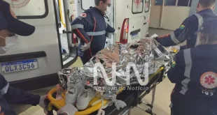 Motociclista colide violentamente contra animal em rodovia na Transacreana