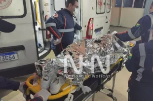 Motociclista colide violentamente contra animal em rodovia na Transacreana