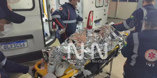 Motociclista colide violentamente contra animal em rodovia na Transacreana