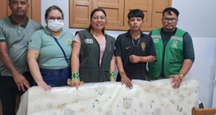 Mailza organiza plantão social e entrega colchões e alimentos para indígenas desabrigados
