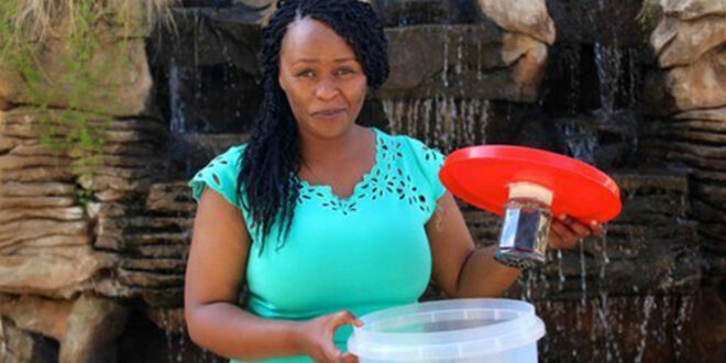 QI da África: cientista queniana cria máquina que gera água potável a partir do ar