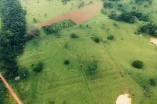 Geoglifos do Acre podem ser reconhecidos como patrimônio mundial pela Unesco