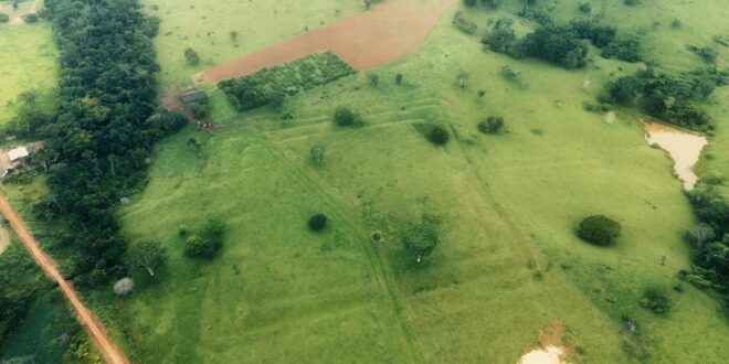 Geoglifos do Acre podem ser reconhecidos como patrimônio mundial pela Unesco