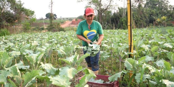 Alimentação saudável: 263 escolas foram atendidas com itens provenientes da agricultura familiar no Acre