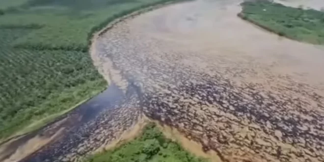 Vazamento de petróleo provoca grave desastre ambiental no Equador e contamina 5 rios