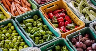 Agro é fome: produtores descartam alimentos para evitar prejuízo e revoltam consumidores