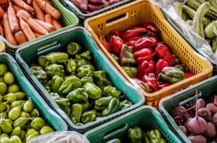 Agro é fome: produtores descartam alimentos para evitar prejuízo e revoltam consumidores