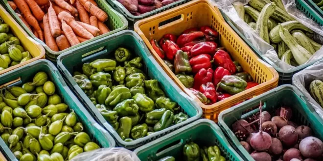 Agro é fome: produtores descartam alimentos para evitar prejuízo e revoltam consumidores