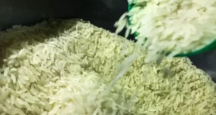 Japão realiza primeiro leilão de arroz estocado para conter alta de preços