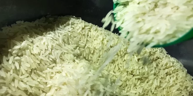 Japão realiza primeiro leilão de arroz estocado para conter alta de preços
