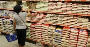 Governo Lula comprará 500 mil toneladas de alimentos de cooperativas e associações de agricultura familiar