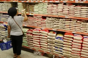 Governo Lula comprará 500 mil toneladas de alimentos de cooperativas e associações de agricultura familiar