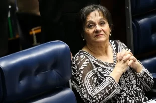 Governo federal processa Brasil Paralelo por fake news sobre caso Maria da Penha