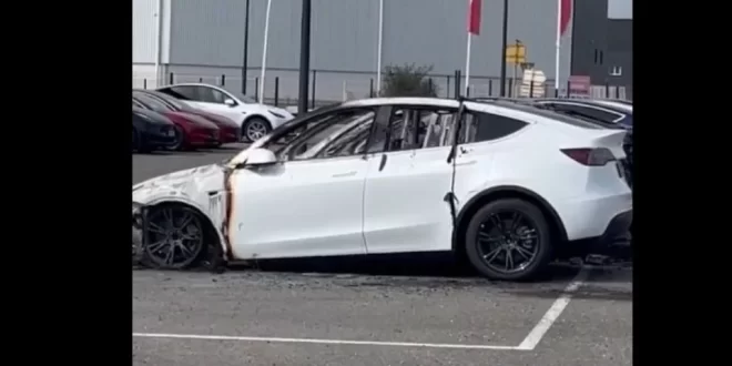 O povo contra Elon Musk: dezenas de carros da Tesla são incendiados na França