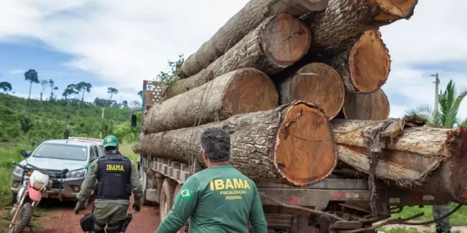 Ibama multa Banco do Brasil, Banco do Nordeste e Basa por financiarem desmatamento ilegal