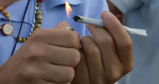 Homem registra Boletim de Ocorrência contra traficante após comprar maconha e não receber