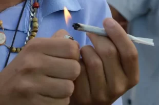 Homem registra Boletim de Ocorrência contra traficante após comprar maconha e não receber