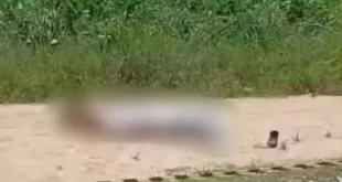 Homem armado com facão é morto a tiros após confronto com a Polícia Militar