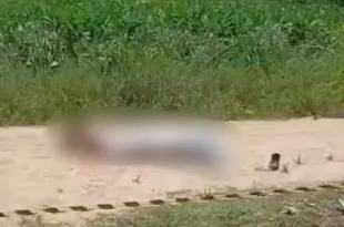 Homem armado com facão é morto a tiros após confronto com a Polícia Militar