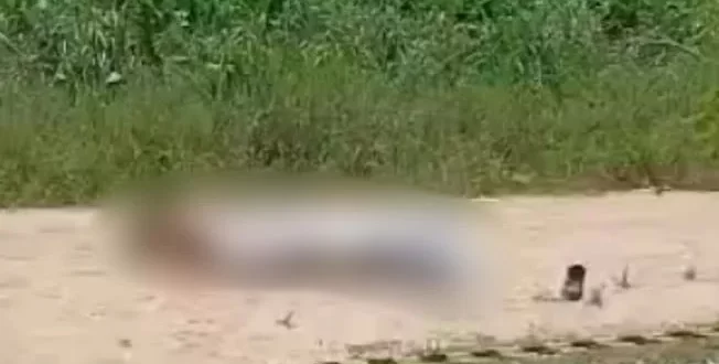 Homem armado com facão é morto a tiros após confronto com a Polícia Militar