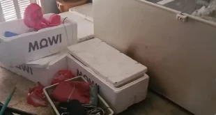 Matou e esquartejou padrasto e colocou os pedaços do corpo no freezer
