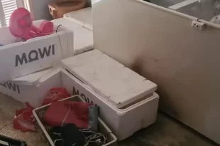 Matou e esquartejou padrasto e colocou os pedaços do corpo no freezer