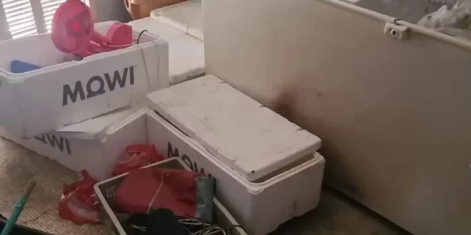 Matou e esquartejou padrasto e colocou os pedaços do corpo no freezer