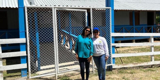 Educação realiza manutenção na Escola Adalberto Sena, em Porto Walter