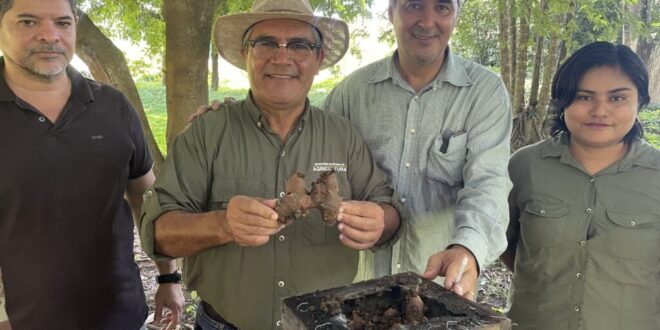 Governo entrega equipamentos a produtores de mel do Alto Acre