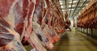 Exportações em alta: indústria de proteína animal investe mais de R$ 200 milhões no Acre