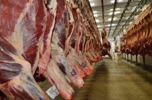 Exportações em alta: indústria de proteína animal investe mais de R$ 200 milhões no Acre