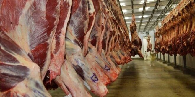 Exportações em alta: indústria de proteína animal investe mais de R$ 200 milhões no Acre